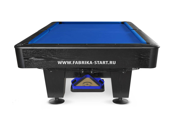 Model 3 8ft (Пул)