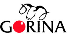 Gorina