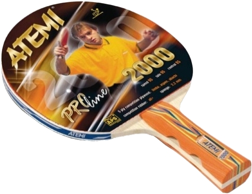 Atemi Pro 1000 an